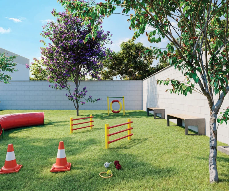 img-veja-3